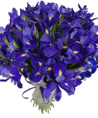 Букет из Ирисов с доставкой