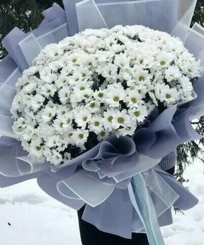 Чужой XXL ГИГАНТ 51 хризантема ромашка