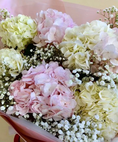 гортензия букет