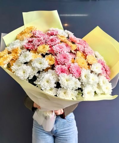 хризантема Королев