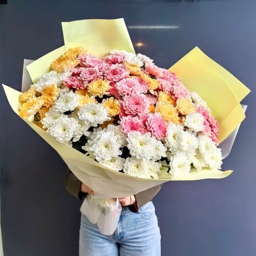 хризантема Королев