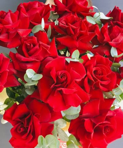 красные розы Королев