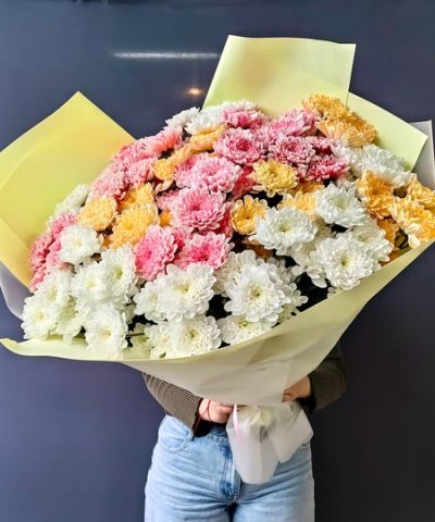 хризантема ромашка