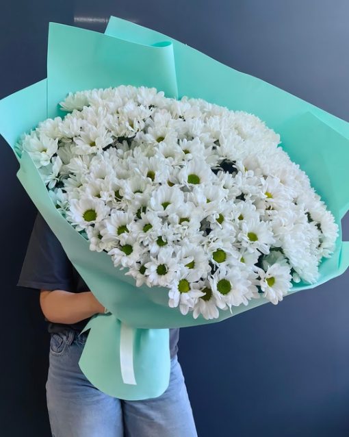 хризантема ромашка