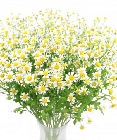 Букет из Ромашек с доставкой