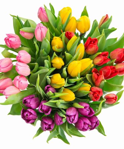 Букет из Тюльпанов с доставкой