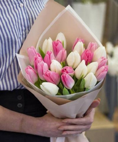23 белых и розовых тюльпанов