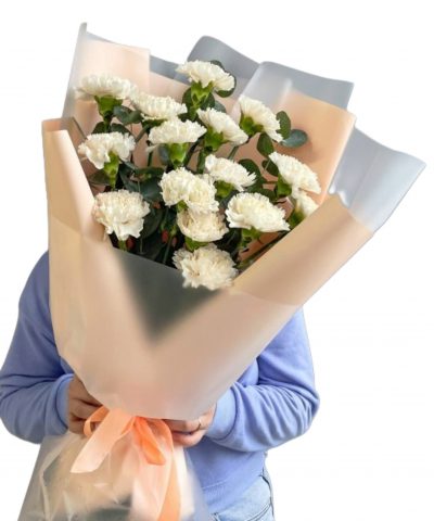 Букет из Гвоздик с доставкой