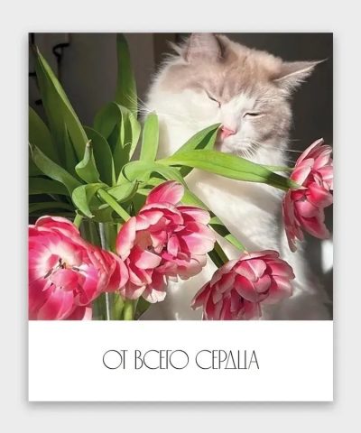 открытка маленькая