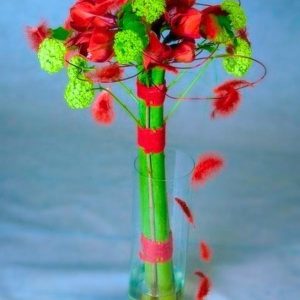 Амариллисы с вибурном