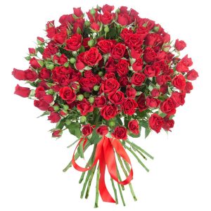 25 красный кустовых роз
