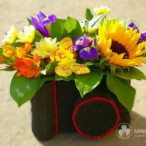 Счастливые моменты