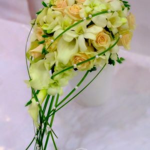 Акапелла