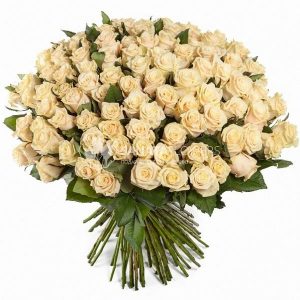 101 кремовая роза