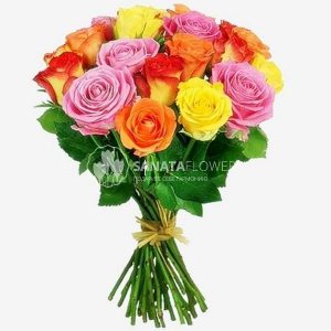 15 разноцветных роз