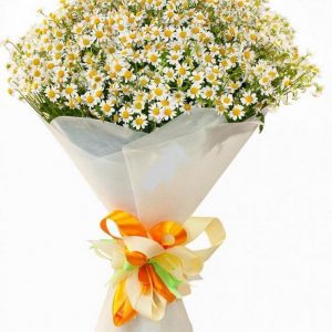 Букет с ромашками 26