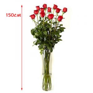15 длинных роз 150 см